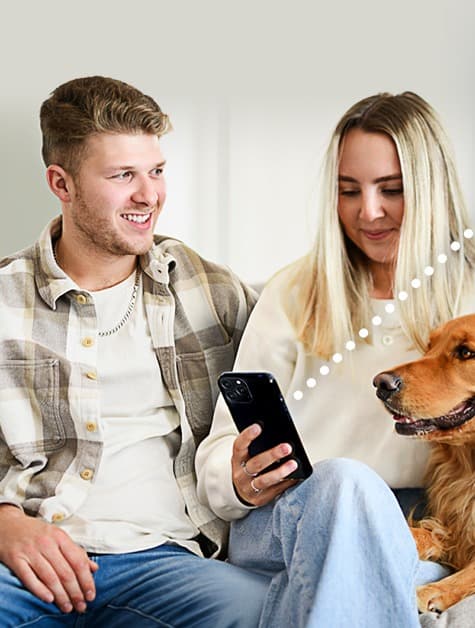 Couple shopping for a car online from home with their dog