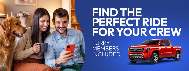 Find the perfect ride for your crew. Furry members included.