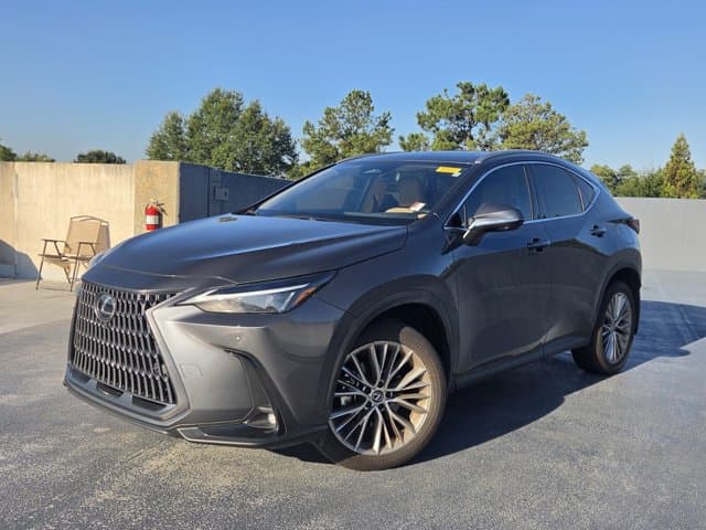 2025 Lexus NX, photo 1