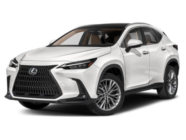 2022 Lexus NX, photo 1